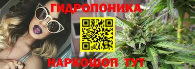 соль ск Дубна